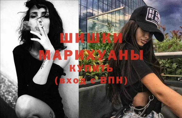 СК Дмитровск