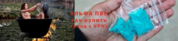 СК Дмитровск
