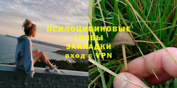 MDMA Дмитриев