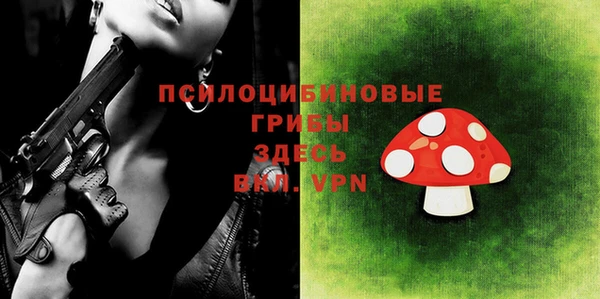 MDMA Дмитриев