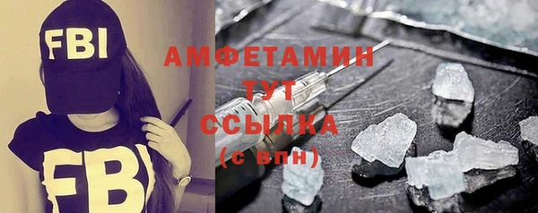 СК Дмитровск