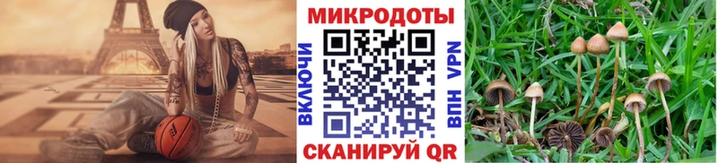 наркошоп  Домодедово  Псилоцибиновые грибы Magic Shrooms 